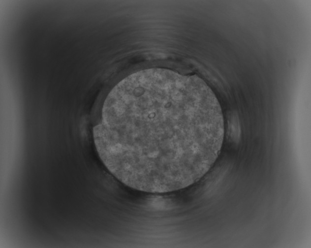 X0000100490616200807111124
