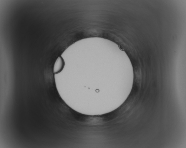 X0000100490617200807111124