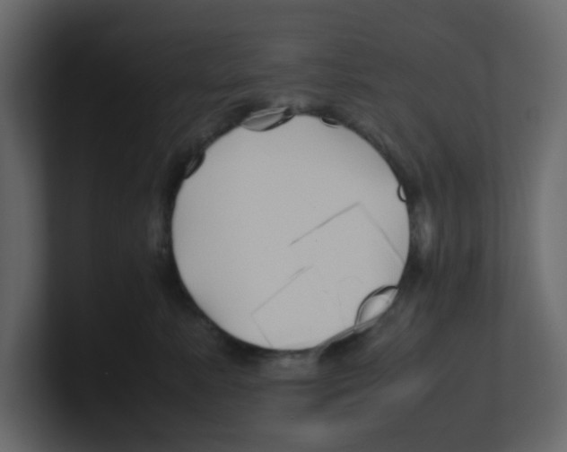 X0000100490619200807111124