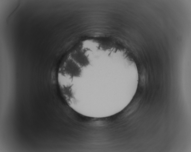 X0000100490620200807111124