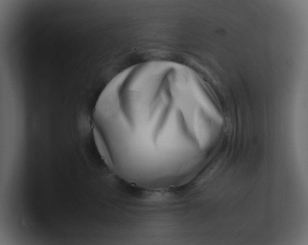 X0000100490621200807111124