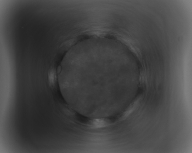 X0000100490623200807111124