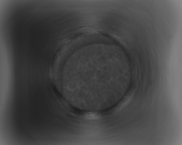 X0000100490624200807111124