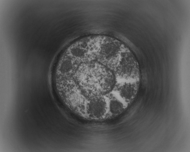 X0000100490626200807111123