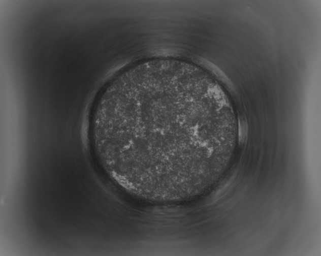 X0000100490627200807111123