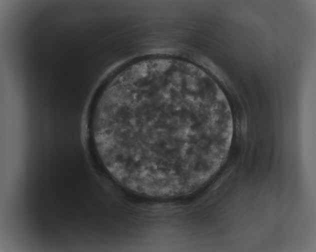 X0000100490628200807111123