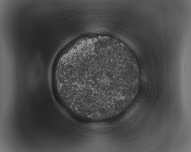 X0000100490630200807111123