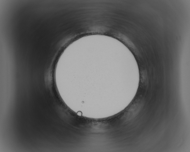 X0000100490632200807111123