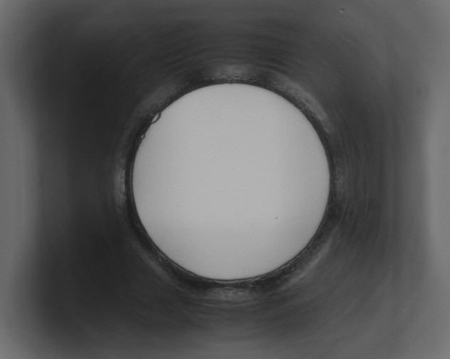 X0000100490633200807111123