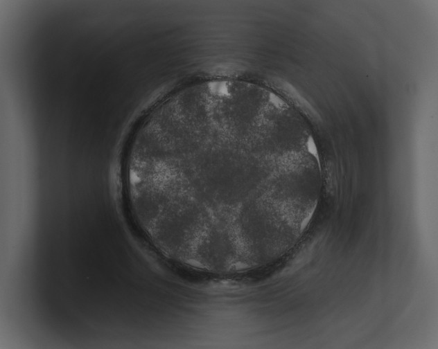 X0000100490634200807111123