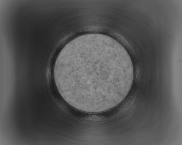 X0000100490636200807111123