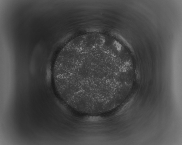 X0000100490637200807111123