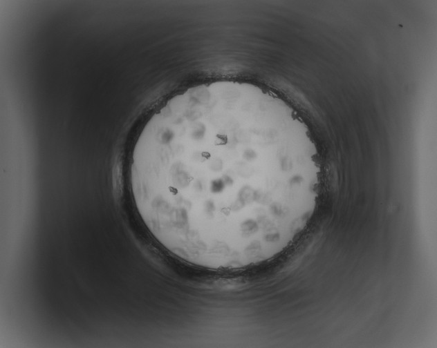 X0000100490638200807111123