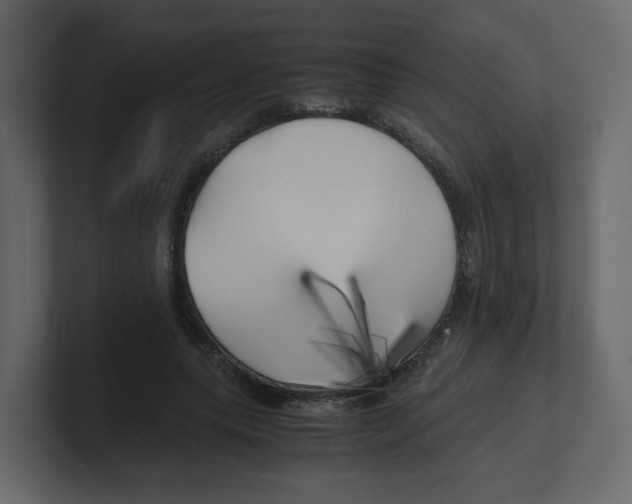 X0000100490639200807111123