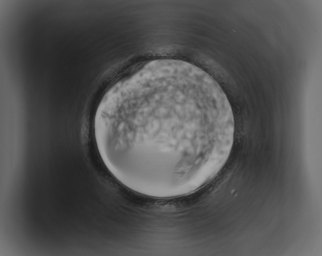 X0000100490640200807111123