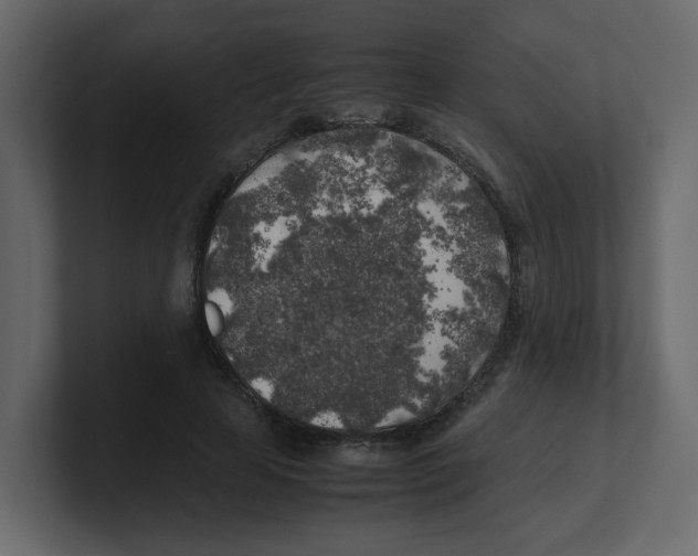 X0000100490641200807111123