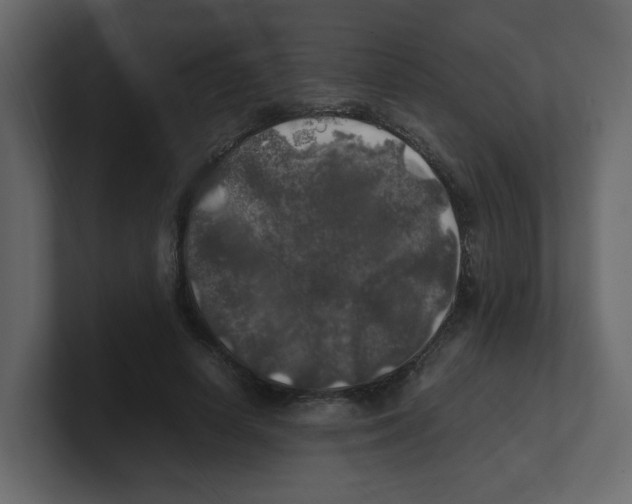 X0000100490642200807111123