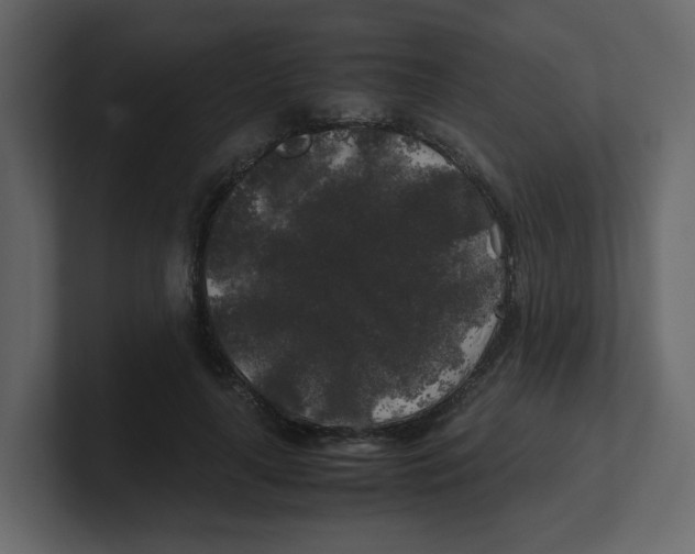 X0000100490643200807111123