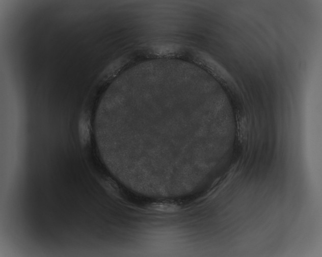 X0000100490644200807111123
