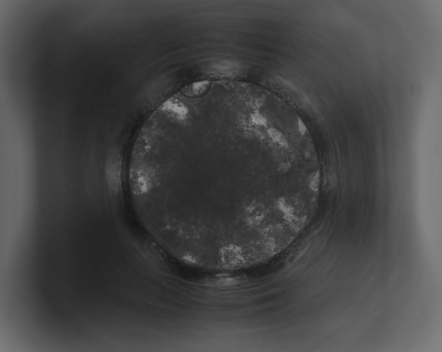 X0000100490647200807111123