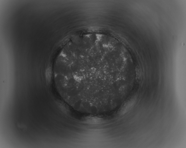X0000100490648200807111123