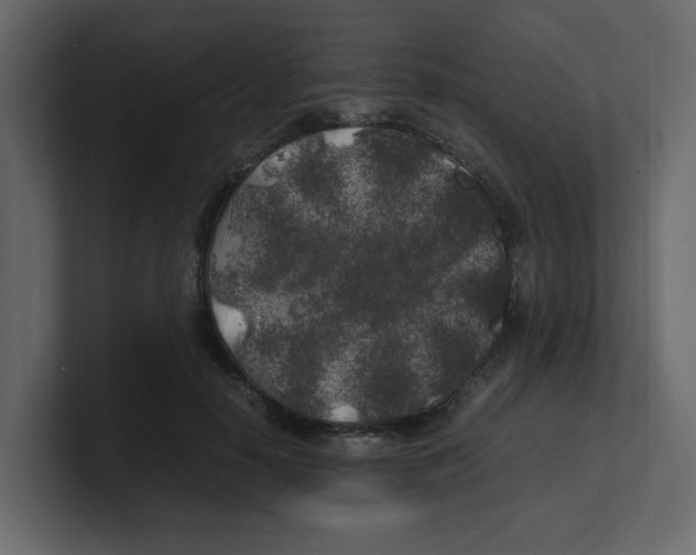 X0000100490650200807111123