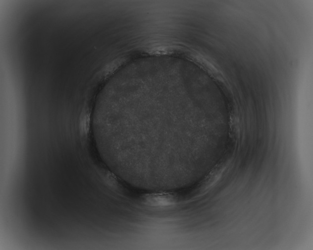 X0000100490652200807111123