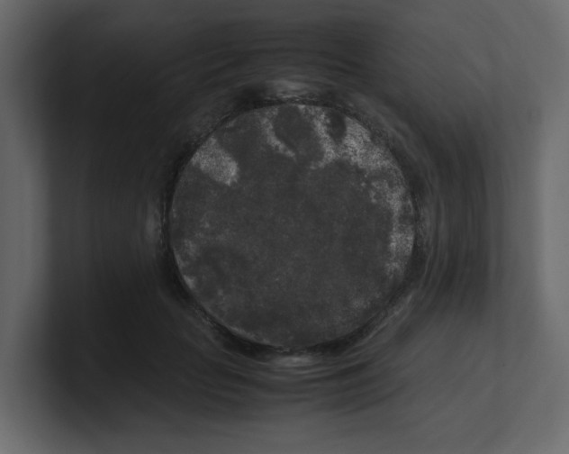 X0000100490653200807111124