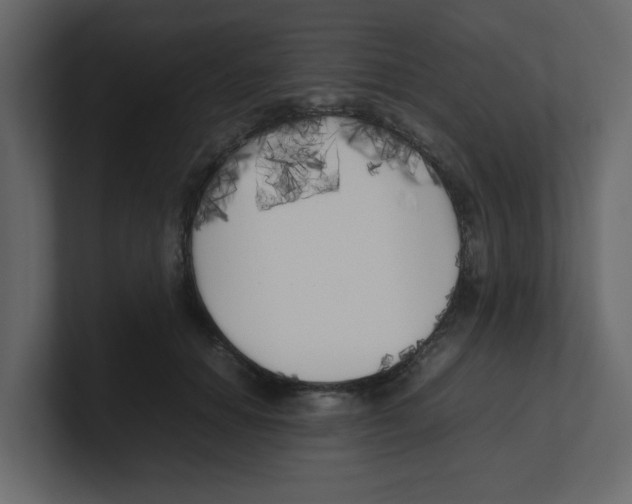 X0000100490654200807111124