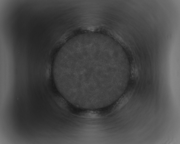 X0000100490656200807111124