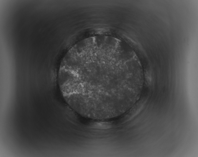 X0000100490657200807111124