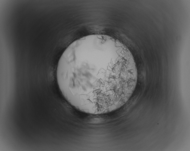 X0000100490658200807111124