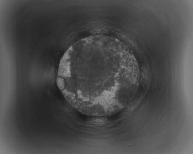 X0000100490659200807111124