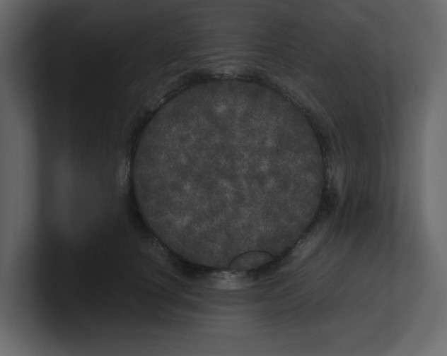 X0000100490660200807111124