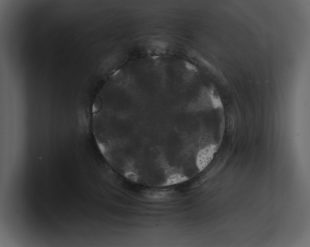 X0000100490661200807111124