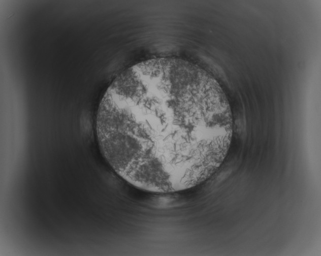X0000100490662200807111124