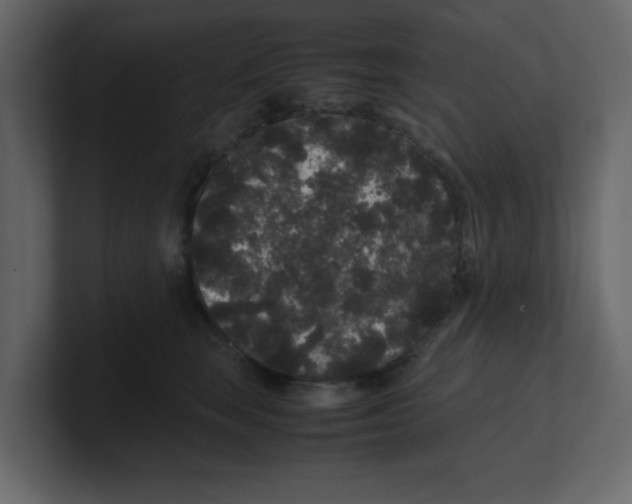 X0000100490663200807111124