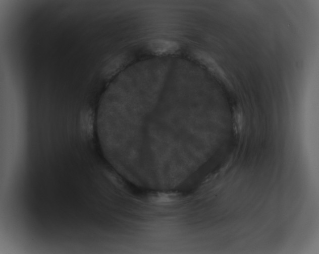 X0000100490664200807111124