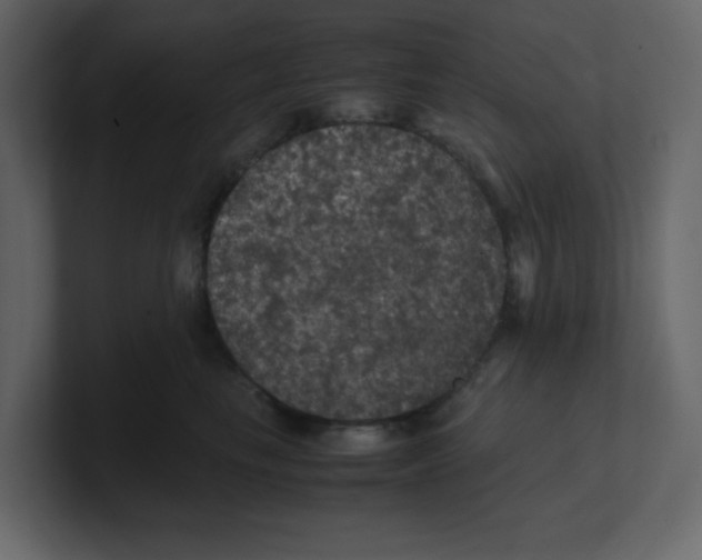 X0000100490665200807111124
