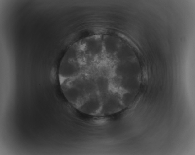 X0000100490667200807111124