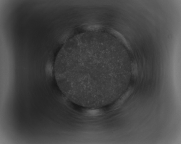 X0000100490669200807111124