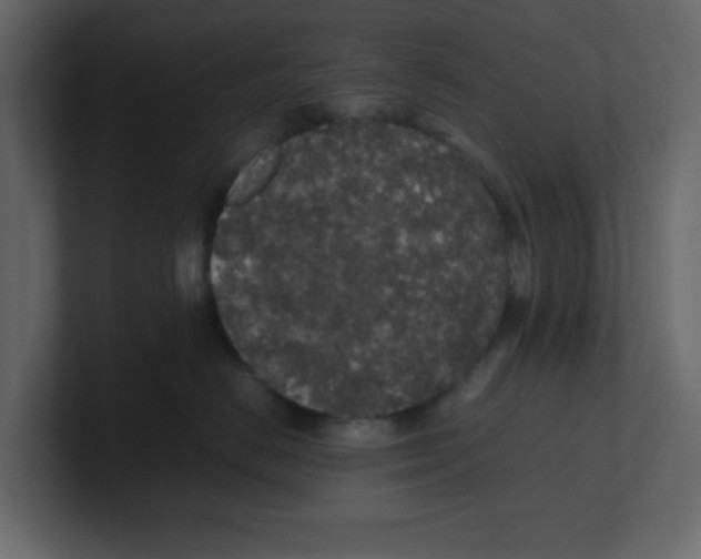 X0000100490670200807111124