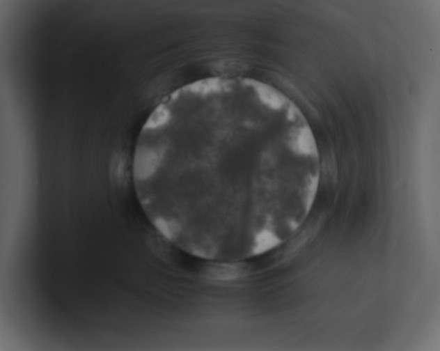 X0000100490671200807111124