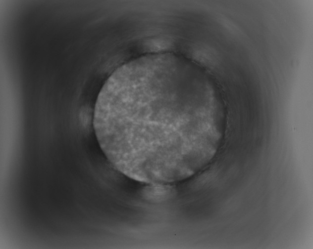 X0000100490672200807111124