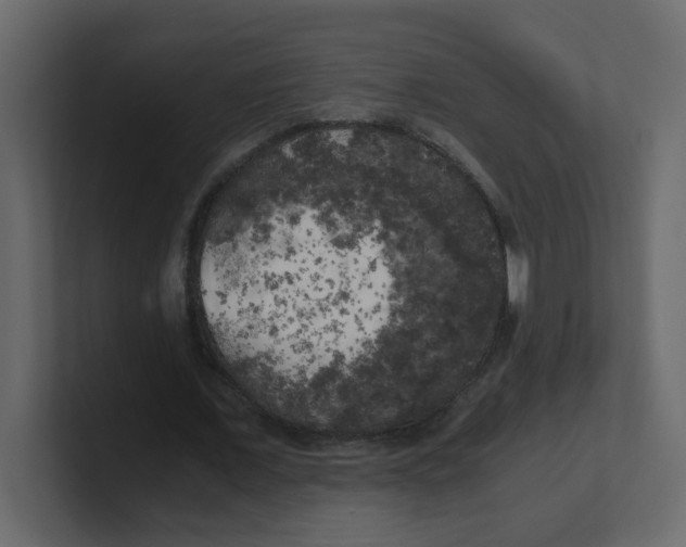 X0000100490675200807111123