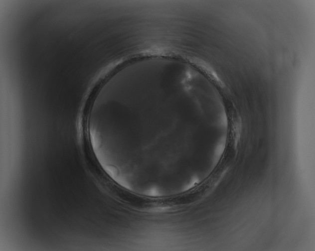 X0000100490678200807111123