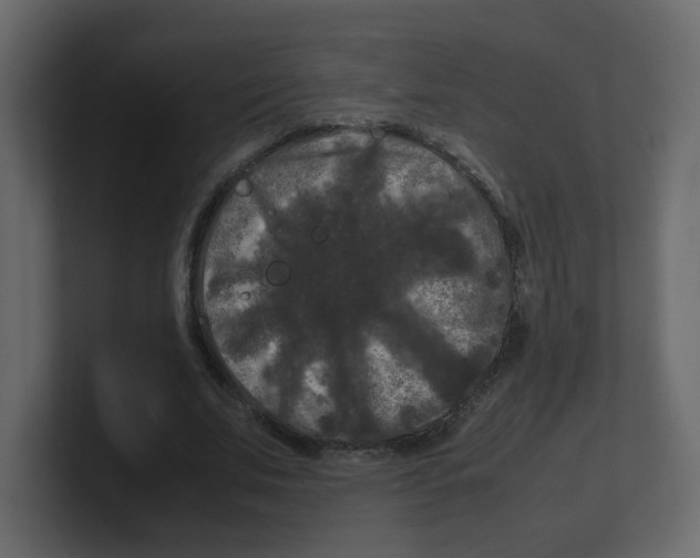 X0000100490679200807111123