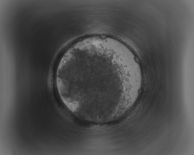 X0000100490680200807111123