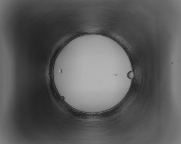 X0000100490682200807111123