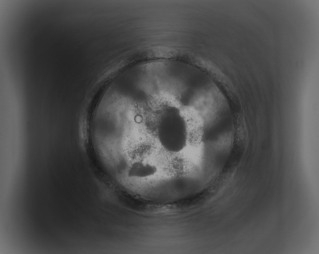 X0000100490683200807111123